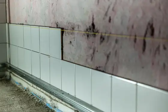 Ancienne faïence murale à moitié déposée au-dessus d’un mur nu